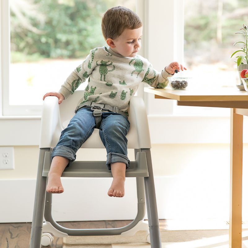 Ingenuity Trio Elite 3-In-1 High Chair - Braden