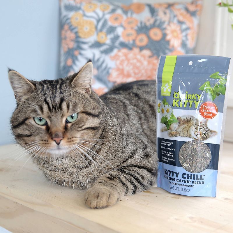 Quirky Kitty Kitty Chill North American Catnip with Chamomile Blend Cat Treats - 0.5oz