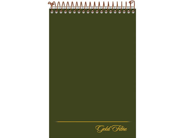 Ampad 20-806R Gold Fibre Steno Book, 6" x 9", Gregg Rule, Green Cover, 100 Sheets