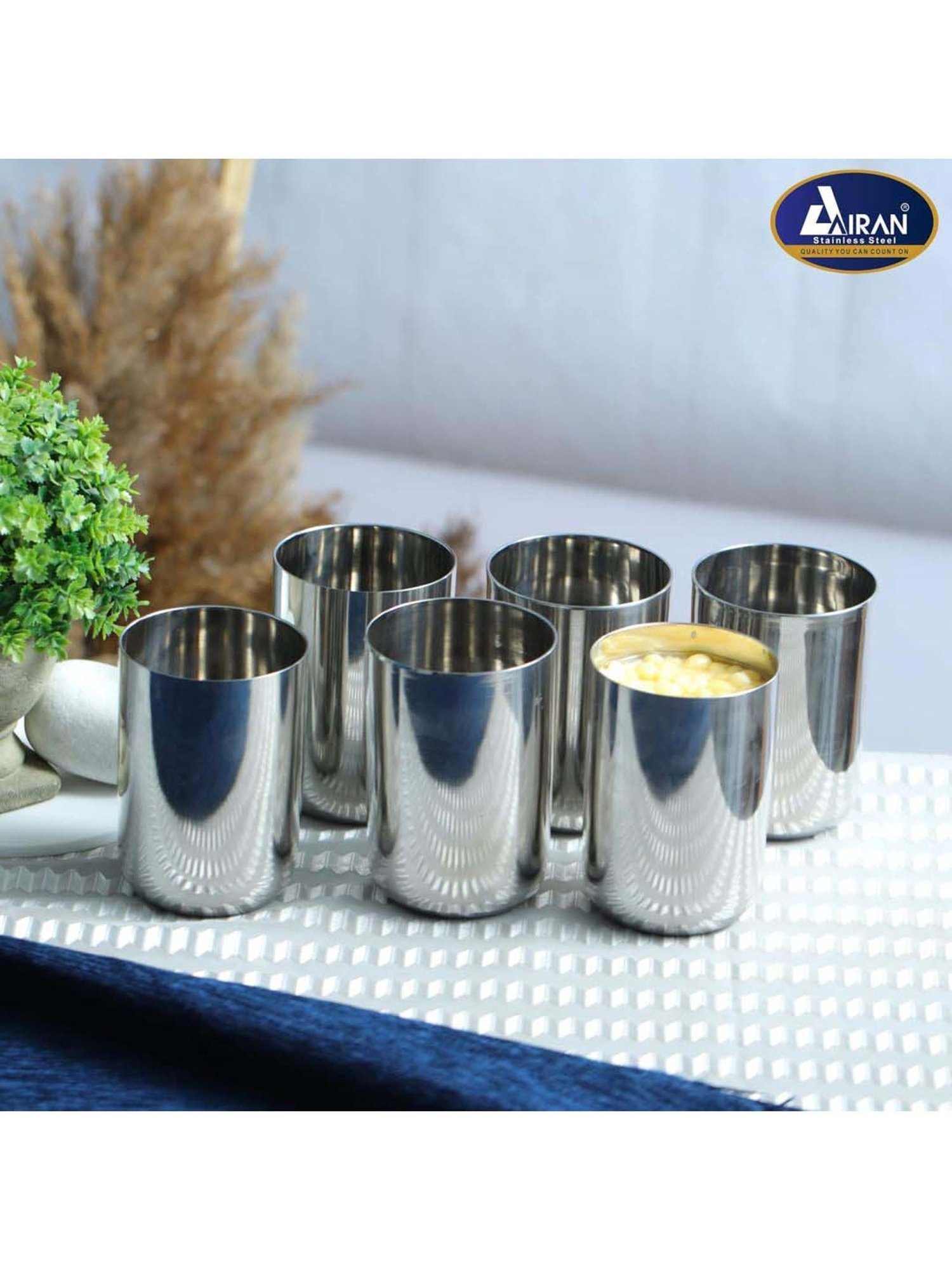Airan Silver Stainless Steel Royal Heavy Gauge Tumbler - Set of 6