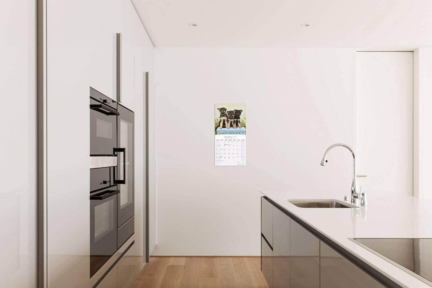 German Shepherd Puppies Calendar 2019 - Dog Breed Calendar - Wall Calendar 2018-2019