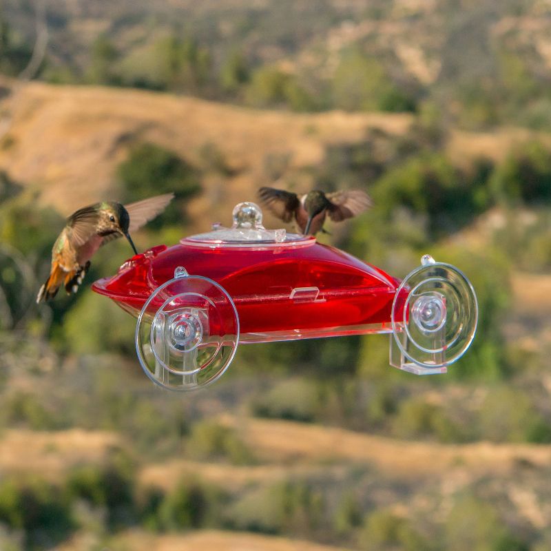 Droll Yankees WH-3 2 Flower Port Bird Feeder - 6oz