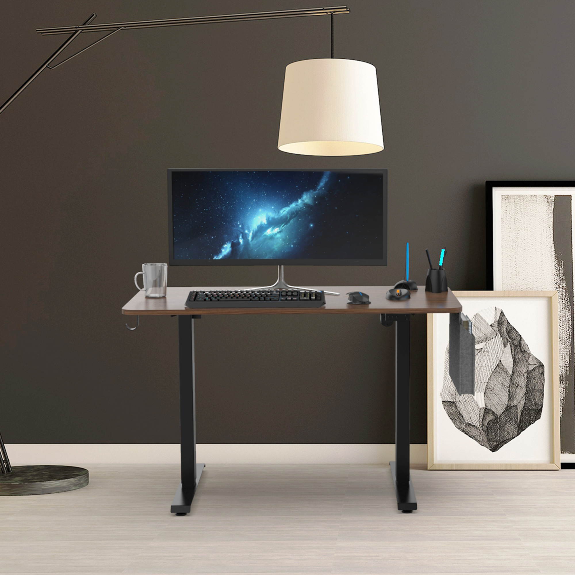 48" Height Adjustable Electric Gaming Desk Home Office Table with Headset Hook and Storage Bag