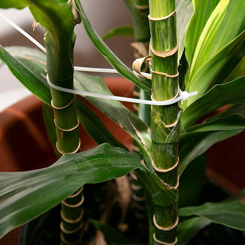 zip ties Cable ties Zip ties 12 inch Heavy duty cable ties 100 per pack Environmentally friendly Industrial quality Uses 3 latches for stronger locks With 60 Pounds Tensile StrengthWhite