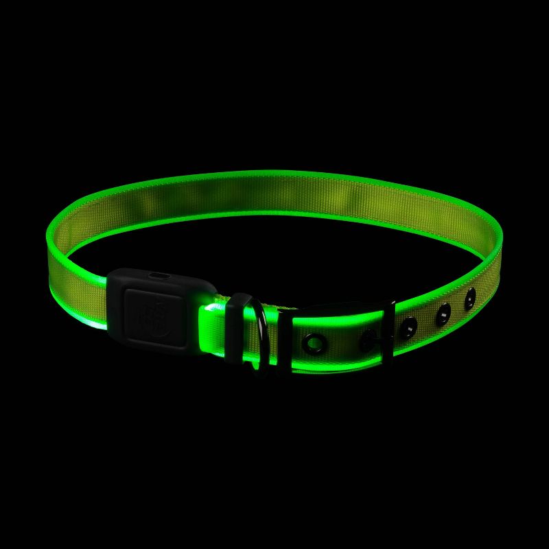 Nite Ize Nite Dog Rechargeable LED Dog Collar - XL - Lime/Green