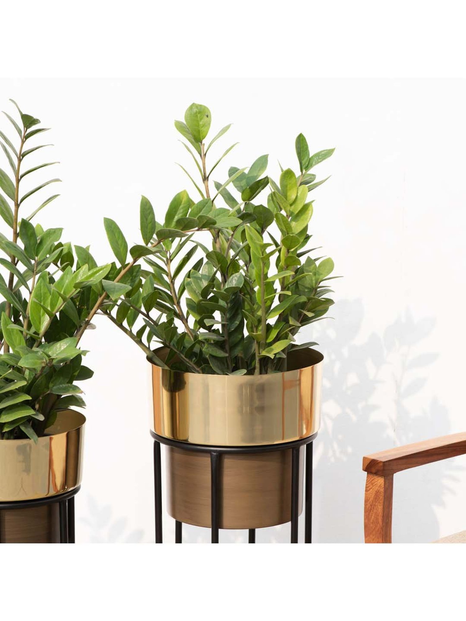 THE DECOR REMEDY Antique Brown & Golden Dual Tone Planter - Set of 2
