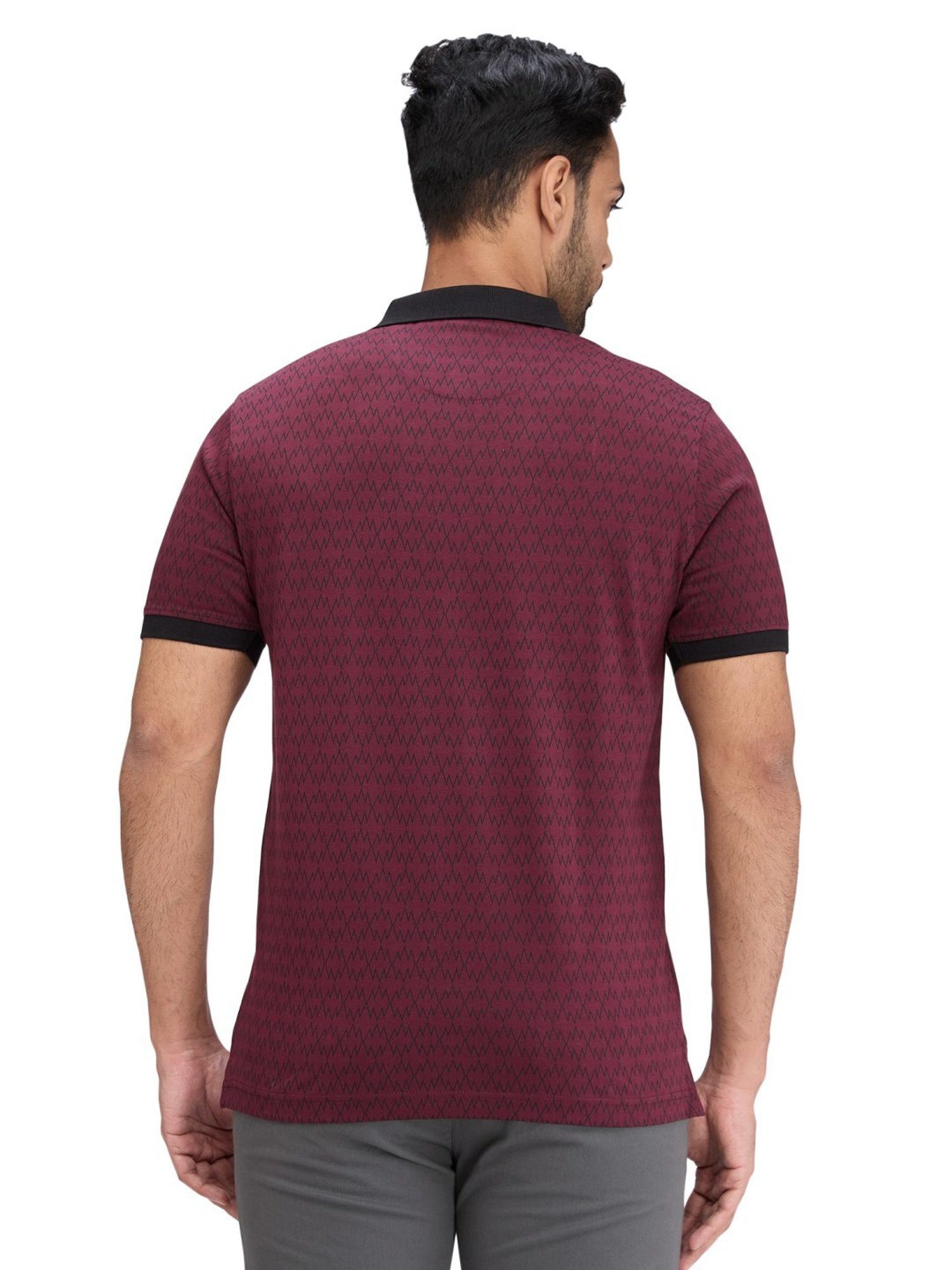 Park Avenue Maroon Slim Fit Printed Polo T-Shirt