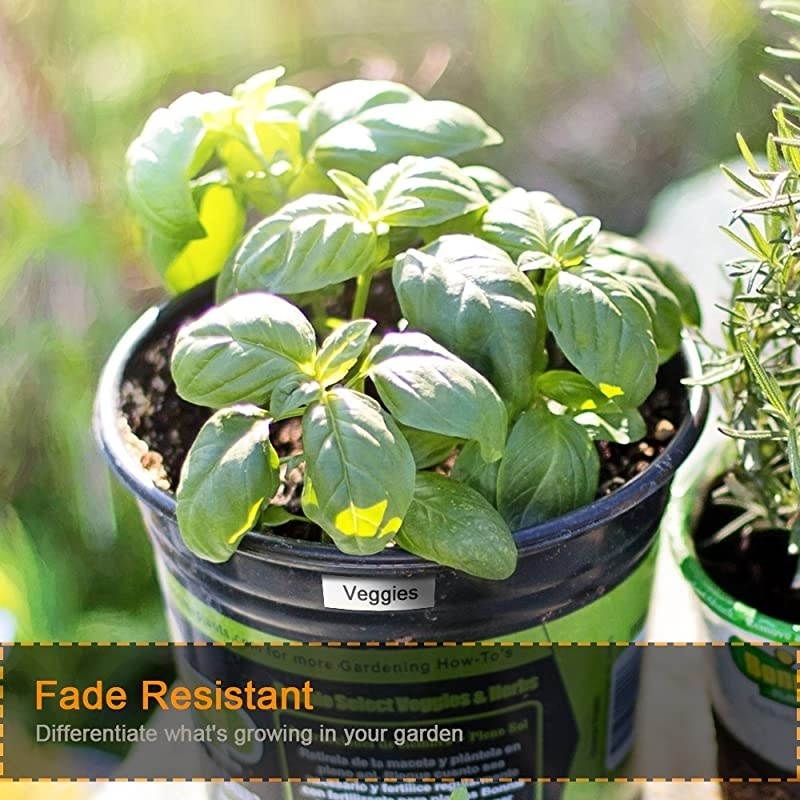 Compatible Label Tape Replacement for Brother TZe-231 Label Maker Tape Ptouch 12mm 0.47 Inch Laminated White TZ Tapes, Work with Label Machine PT-D210 PT-D600 PTH110, 3-Pack