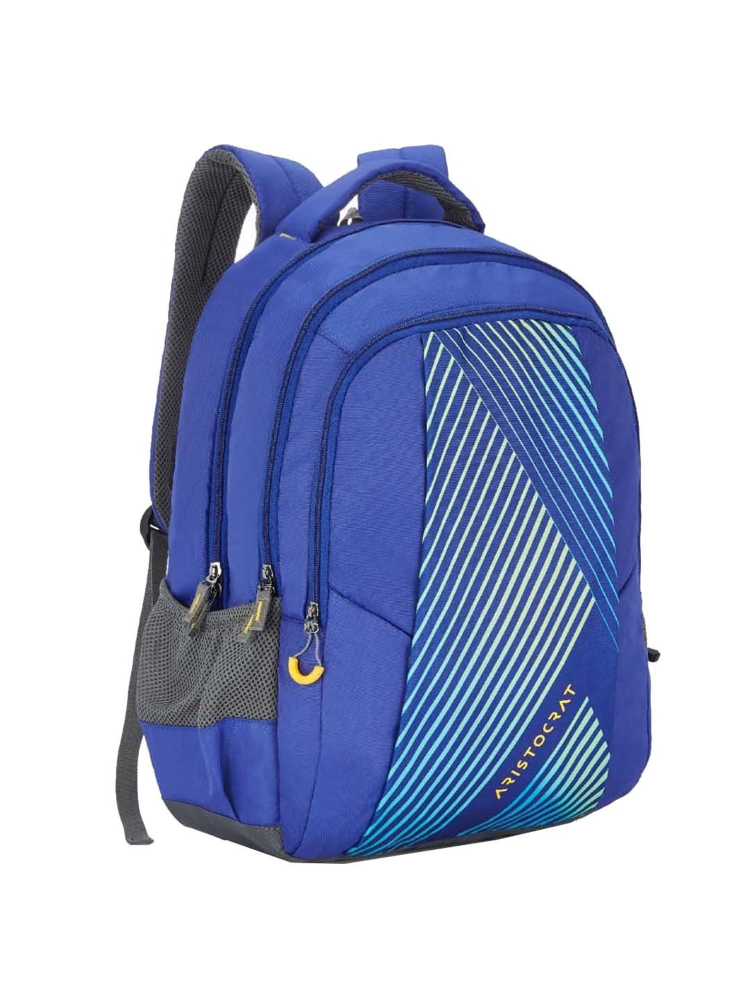 Aristocrat 27 Ltrs Blue Medium Backpack