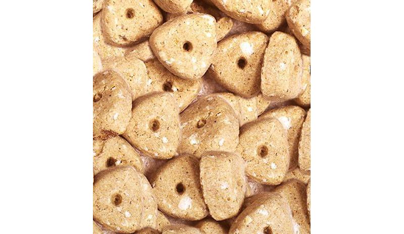 Nutro Crunchy Apple Dog Treats - 10oz