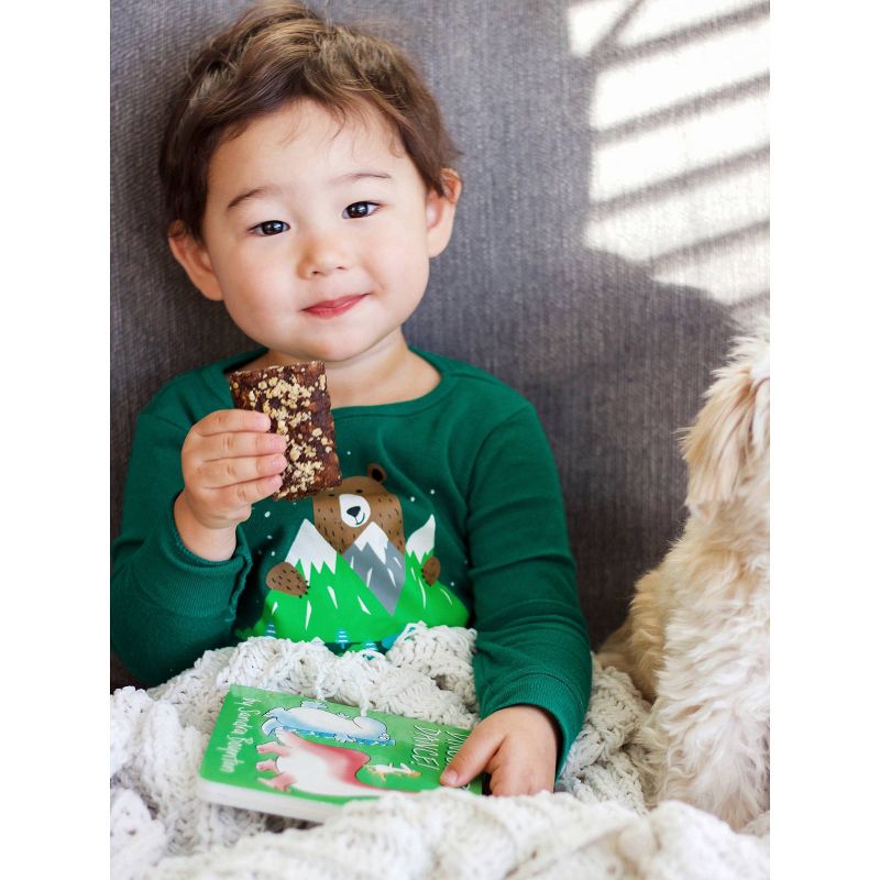 Nature's Bakery Baked-Ins Organic Chocolate Oat - 6pk/7.62oz