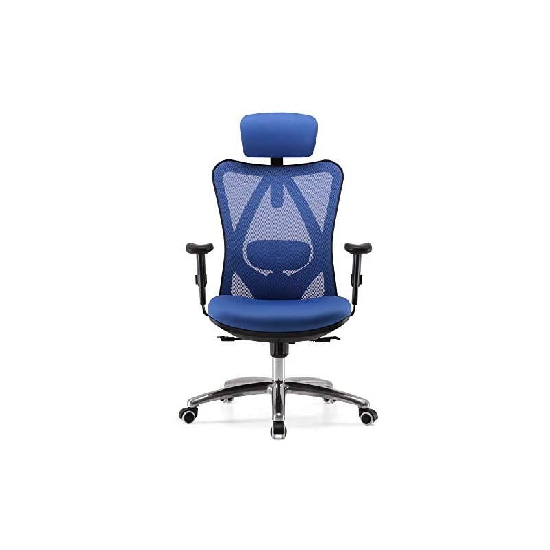 Ergonomic Office Chair, Computer Desk Chair, Adjustable Headrest, Backrest, and Armrests, Lower-Back Support, Mesh (Blue)