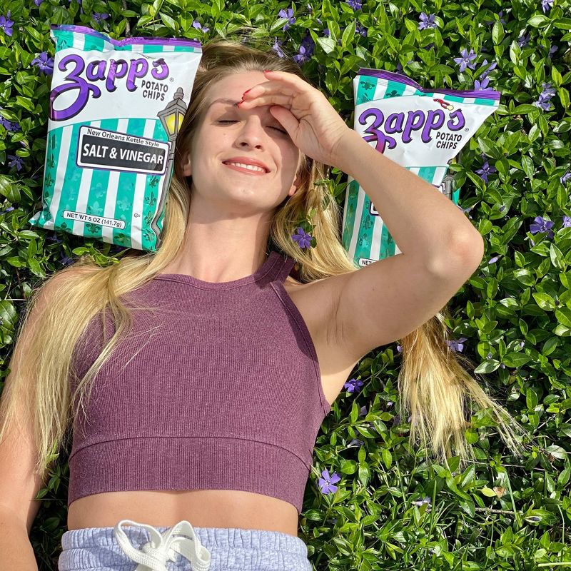 Zapp's New Orleans Kettle Style Salt & Vinegar Potato Chips - 5oz