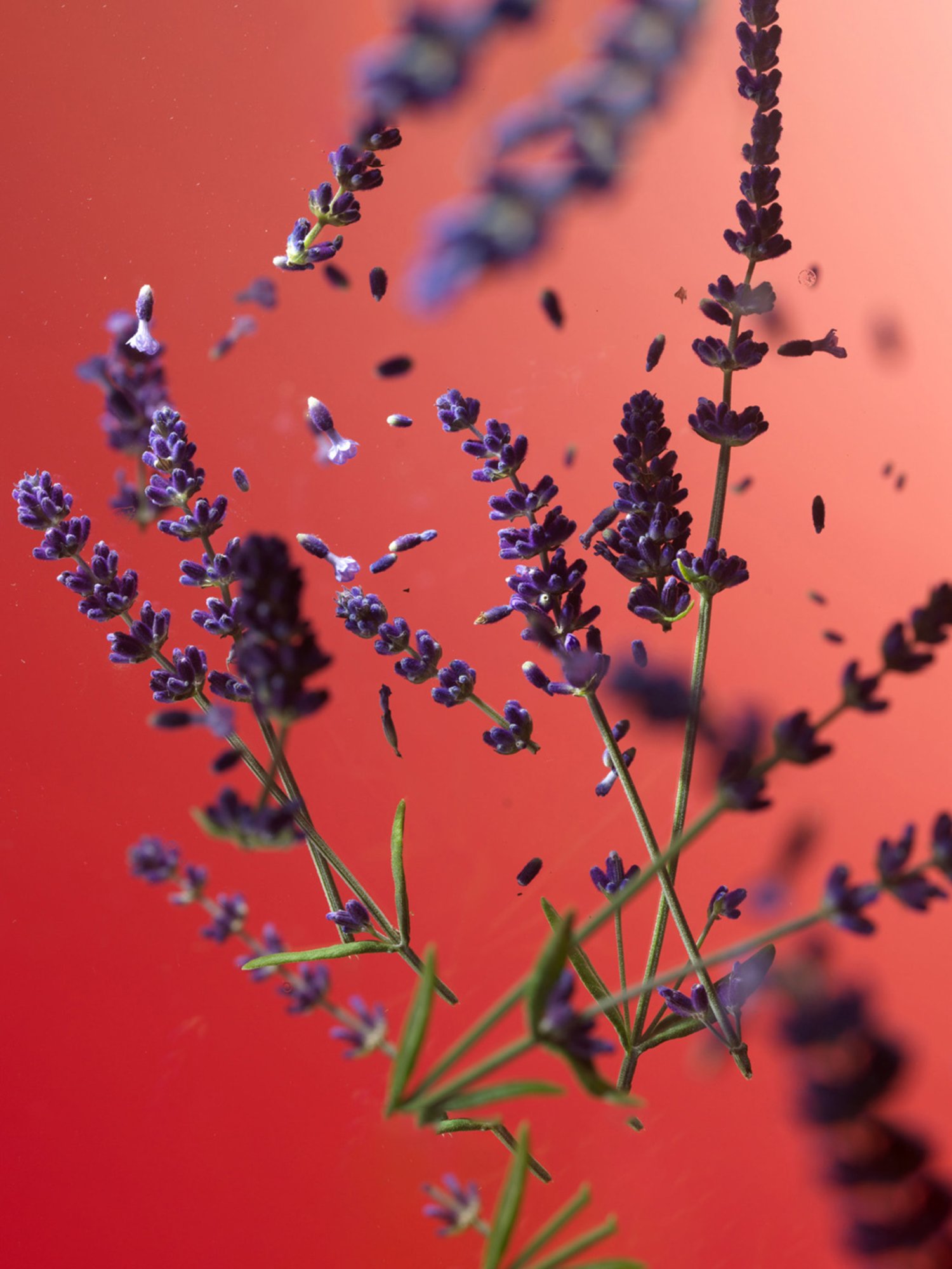 Diesel D Red Eau de Parfum - 50 ml