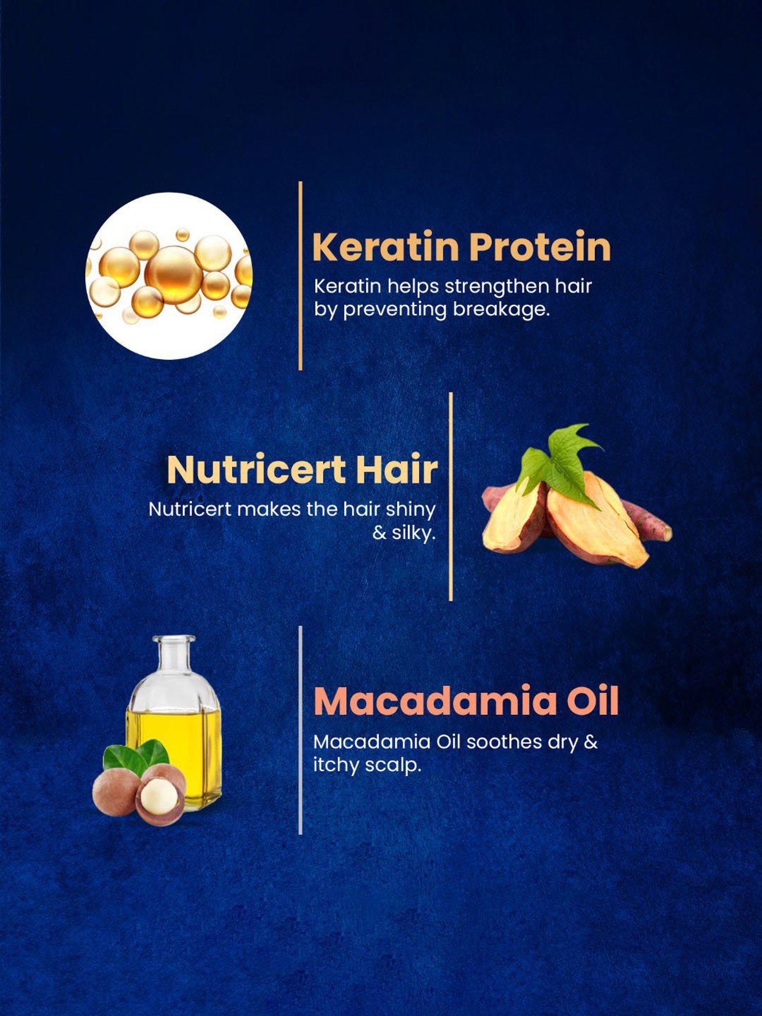 The Beard Story Keratin & Biotin Damage & Frizz Control Shampoo - 250 ml