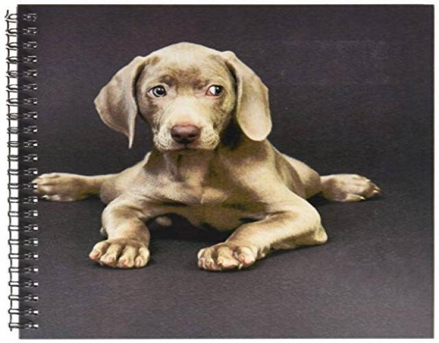3dRose db_1094_1 Weimaraner Puppy Drawing Book, 8 by 8-Inch