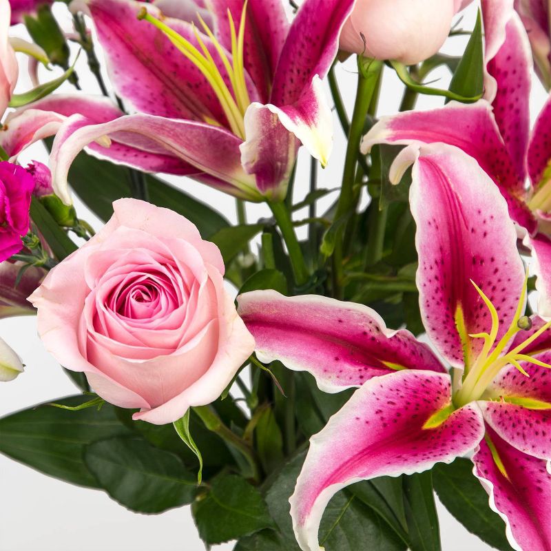 Colour Republic Light Pink Garden Rose Bouquet