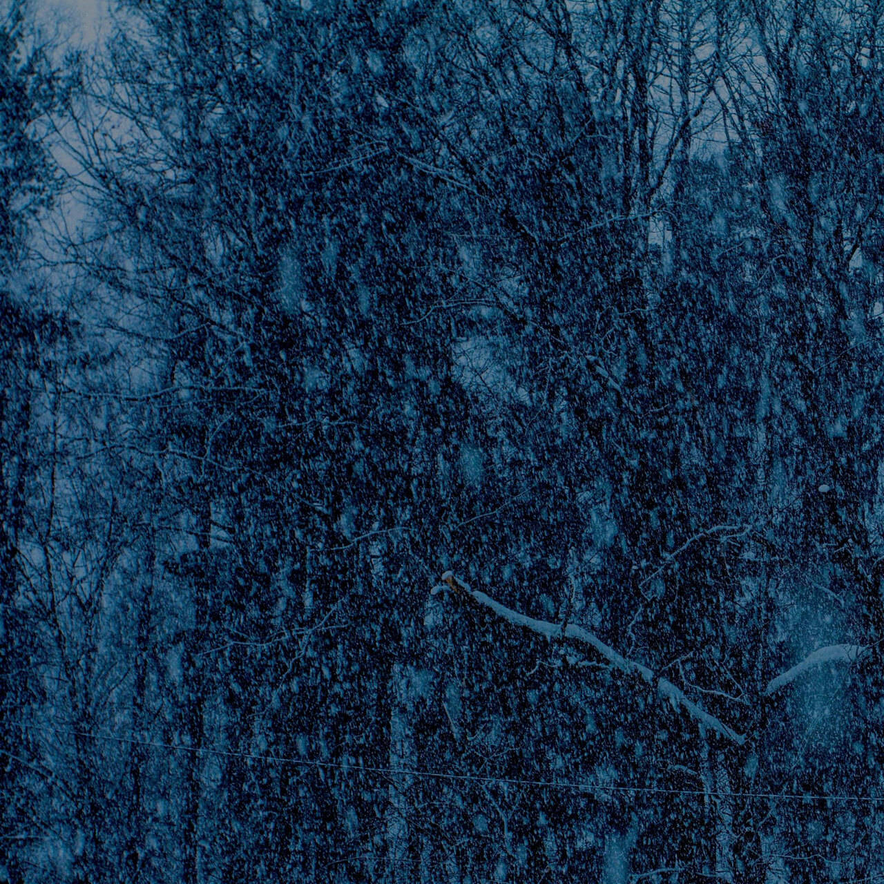 Jesu Never 12" Vinyl EP (Color Vinyl)