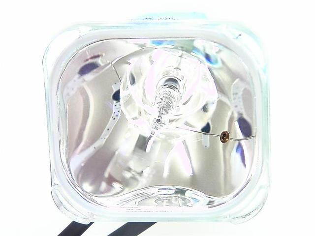 6912V00006C Lamp for Zenith TV's - 180 Day Warranty! Television Lamps