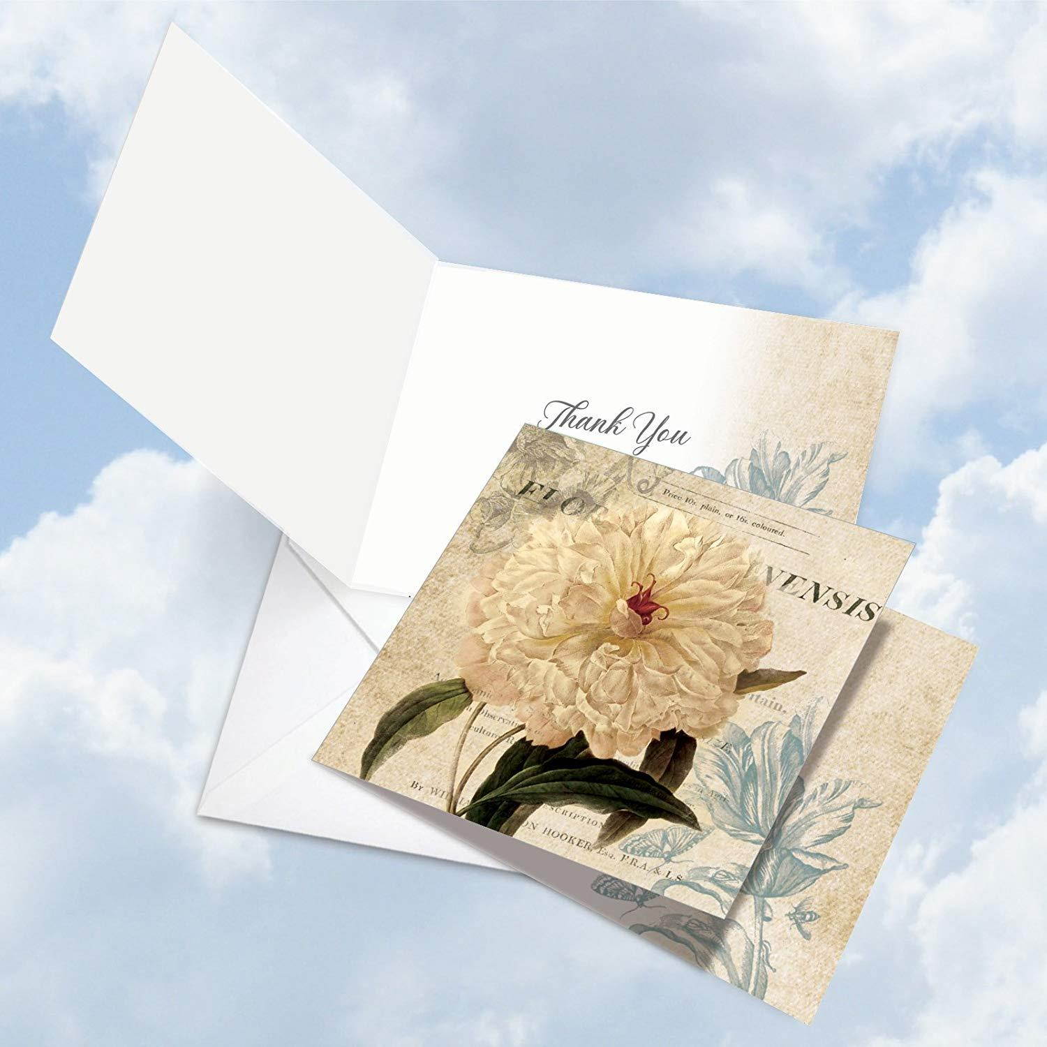 MQ4605TYG-B3x4 Painted Peonies: 12 Assorted 'Square-Top' Thank You Note Cards Featuring Collage Style Floral Images Combined with Printed Background Image with Envelopes.