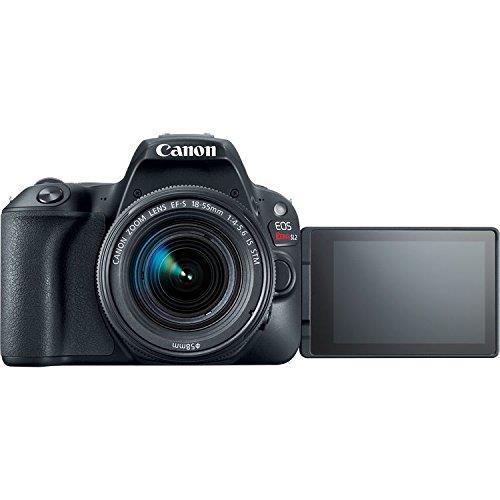 Canon EOS Rebel SL2 DSLR Camera with 18-55mm Lens (Black) 9 Piece Filter w/ Memory Kit (Intl Model)