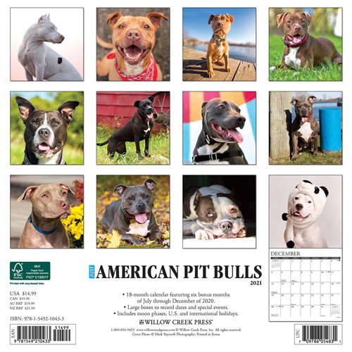 2021 American Pit Bull Terriers Wall