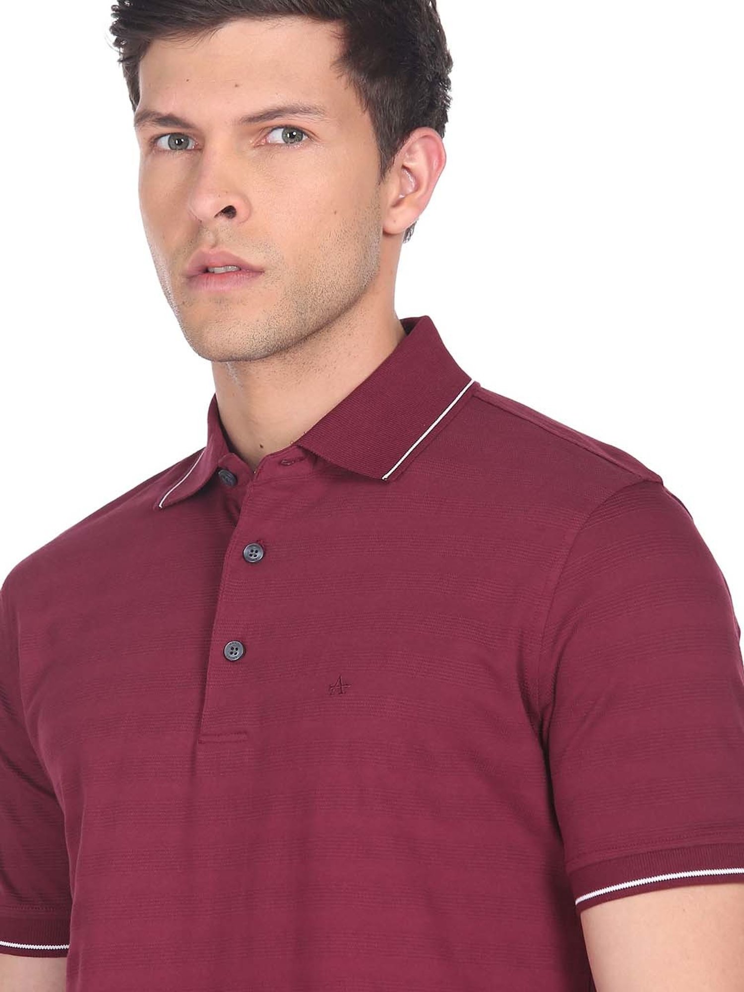 Arrow Burgundy Regular Fit Cotton Polo T-Shirt