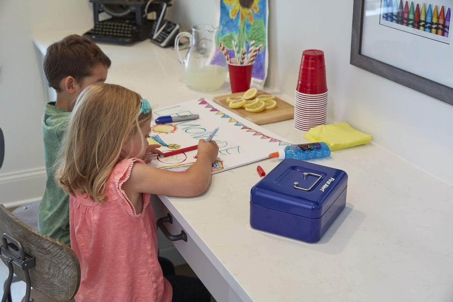 First Alert 1036620 Cash Box with Key Lock and Removable Tray.1 Cubic Ft, Blue