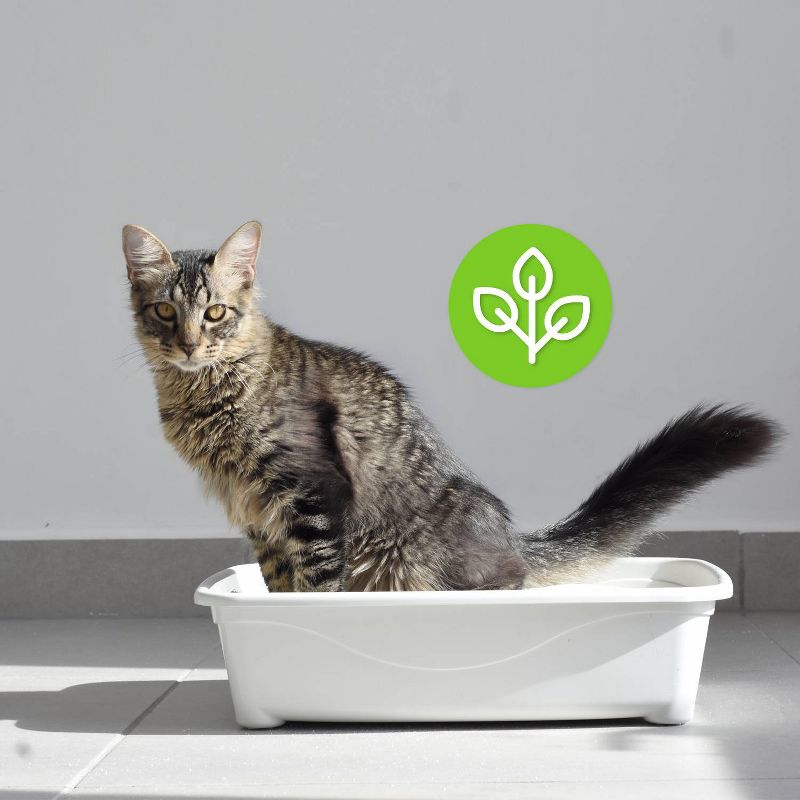 Petfive Brands Garfield Ultimate Clump Multi-Cat Litter - 10lb