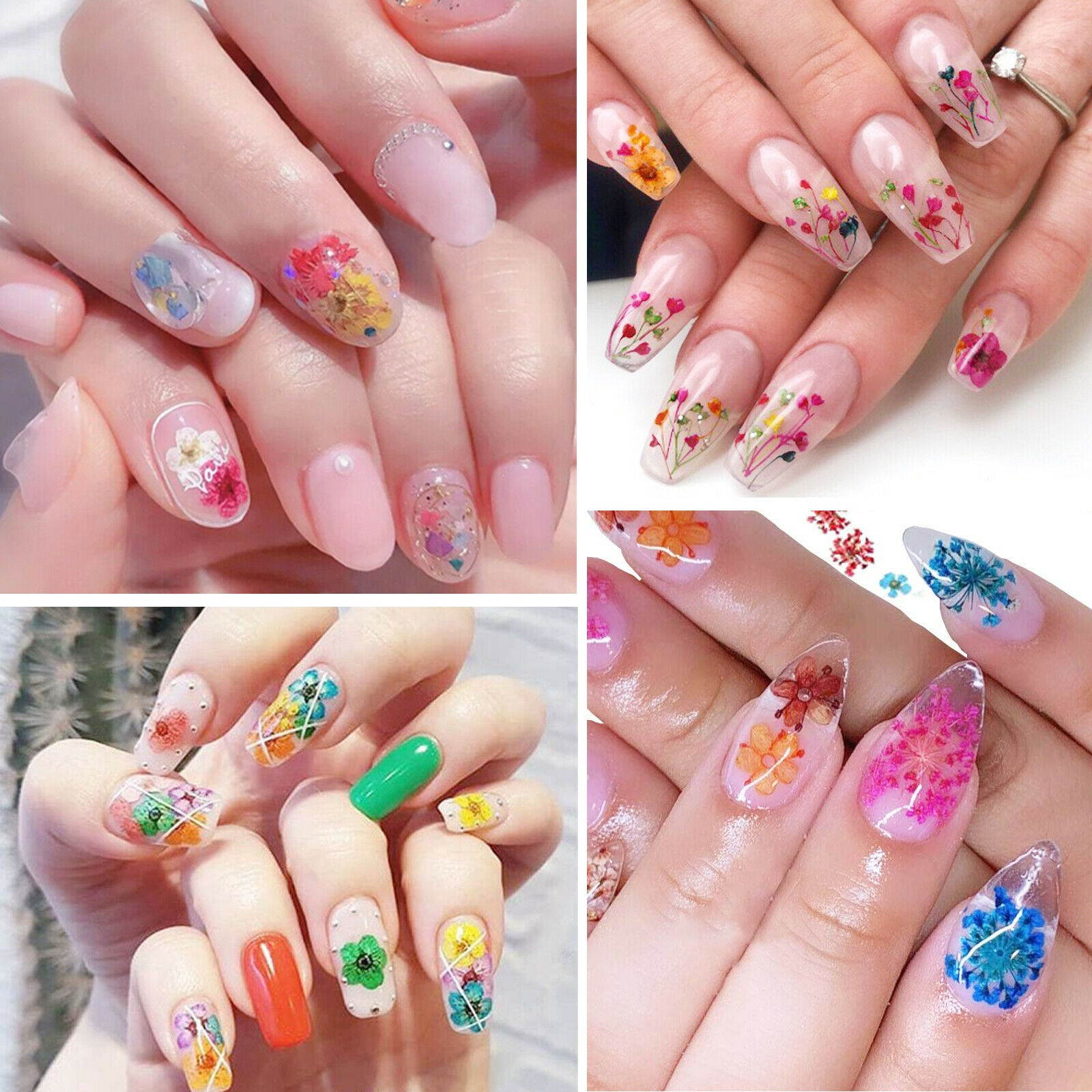 12 Colors Real Dried Flowers 3D Nail Art Decors Design DIY Tips Manicure HOT