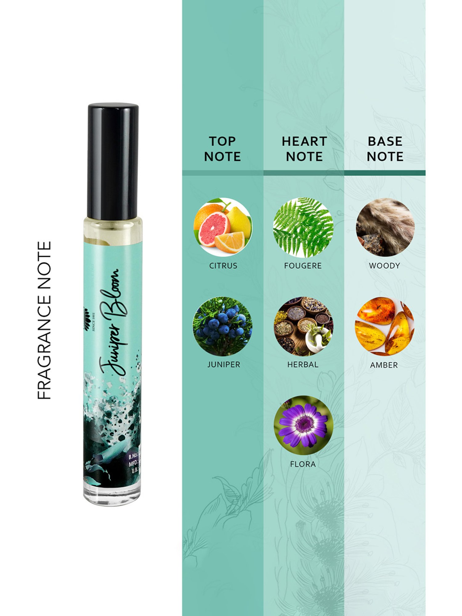 L'OCCITANE Eau De Cedrat Stick Deodorant for Men - 75 ml