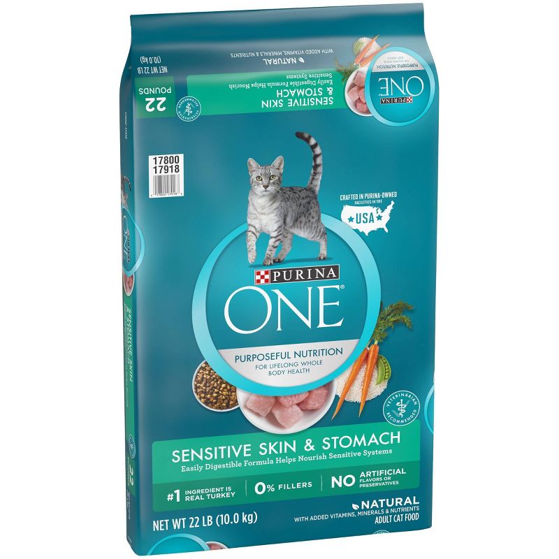 Purina ONE Sensitive Skin and Stomach Wet Cat Food - 22lbs