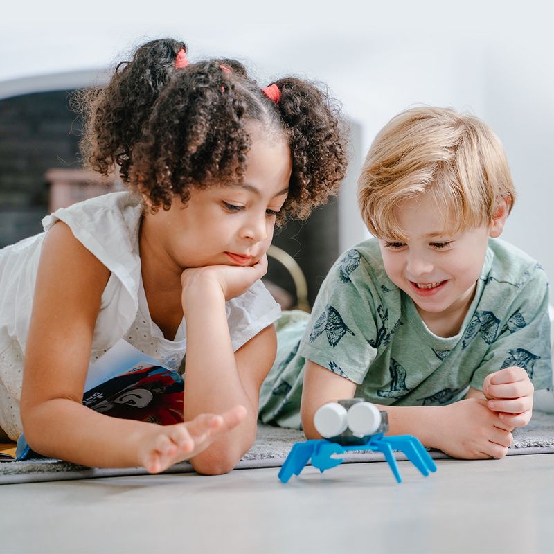 Playsteam Ocean Friends Sea Turtle & Crab