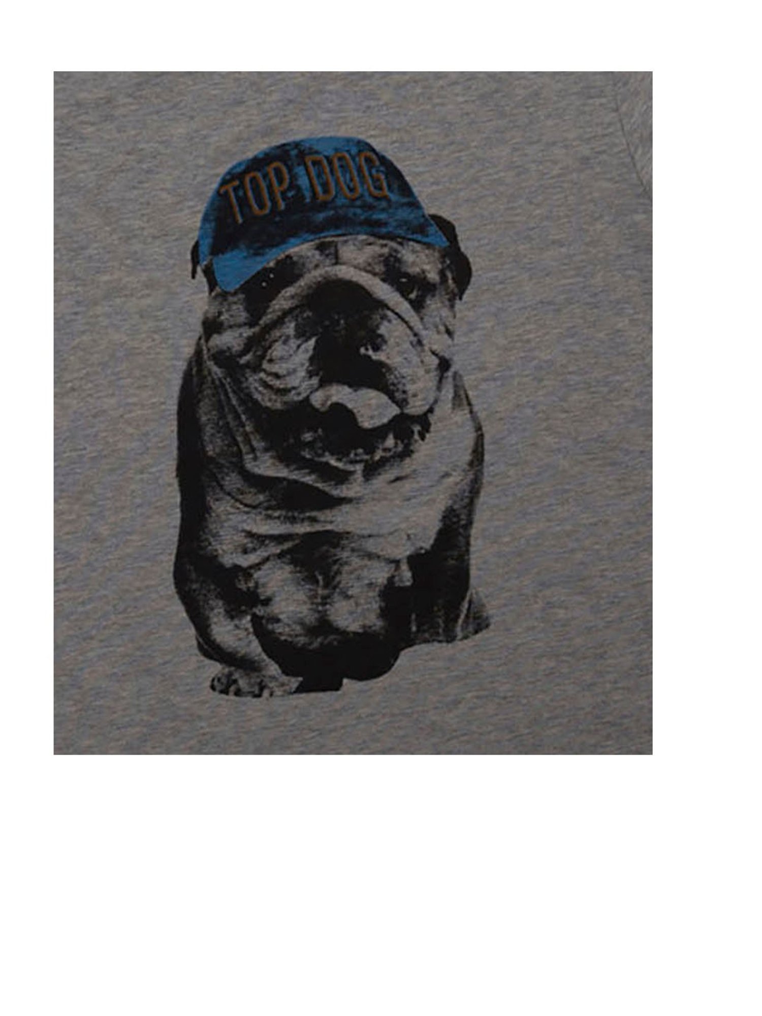 Nino Bambino Kids Grey Printed T-Shirt