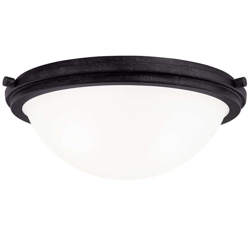 Generation Lighting Winnetka 2 light Blacksmith Ceiling Fixture 75661-839