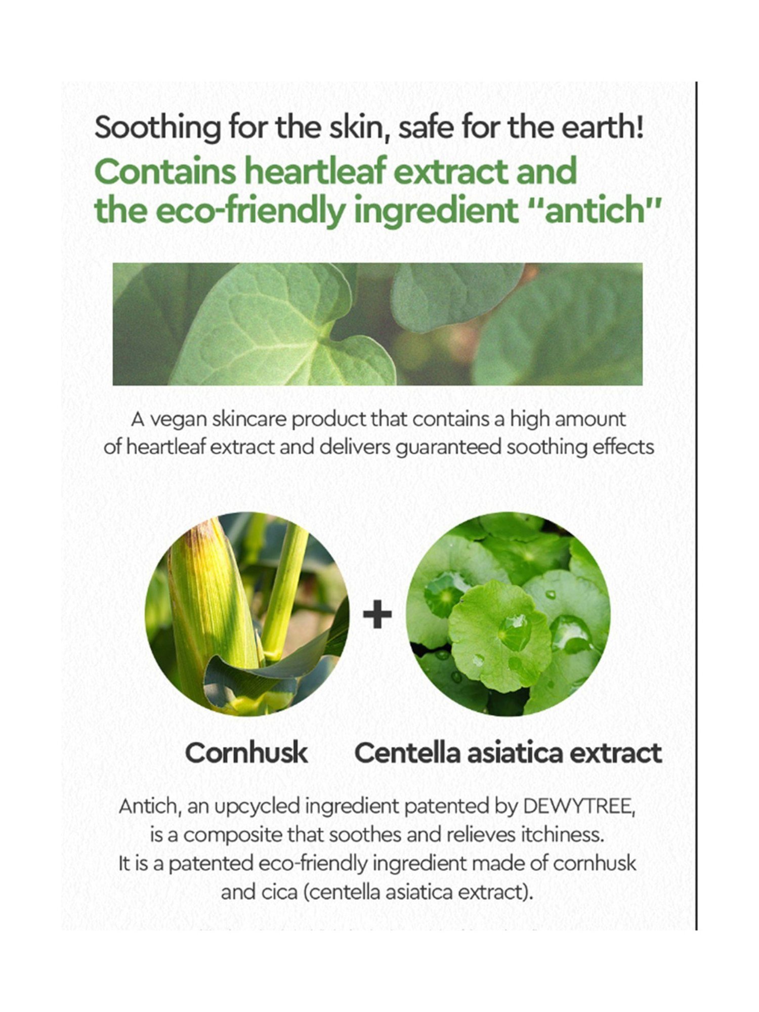 Dewytree Heartleaf 100 Toner - 200 ml