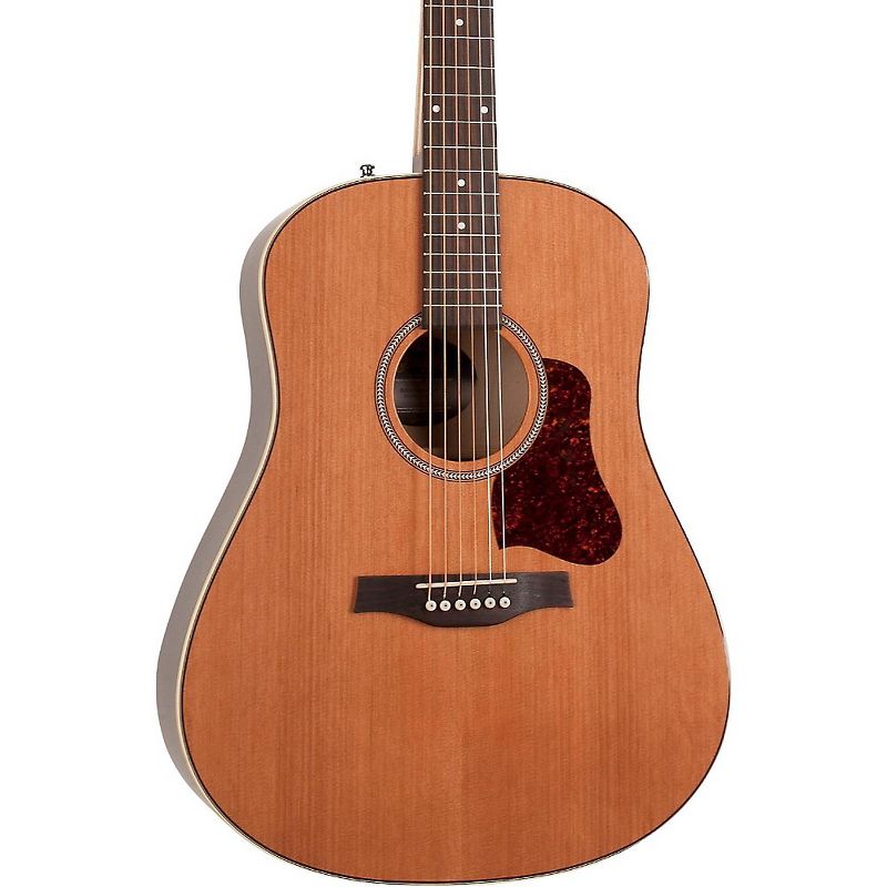 JN Guitars Elijah Series ELI-DCE Dreadnought Cutaway Acoustic-Electric