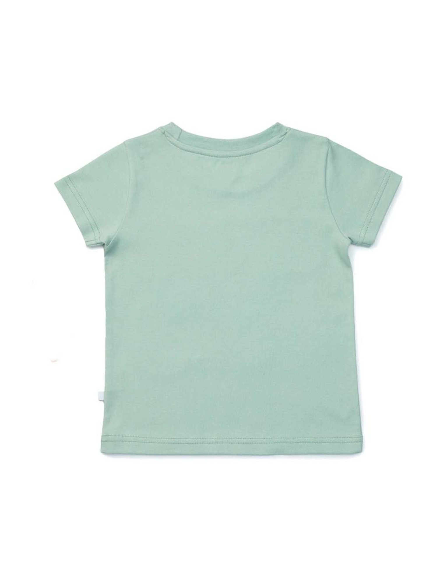 Pranava Boys Blue & Green Printed T-Shirt (Pack of 2)