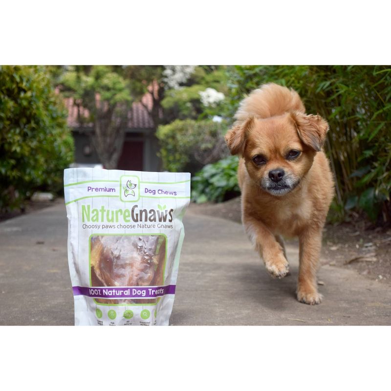 Nature Gnaws Tendon Bites Beef Dog Chews Dog Treats - 24ct