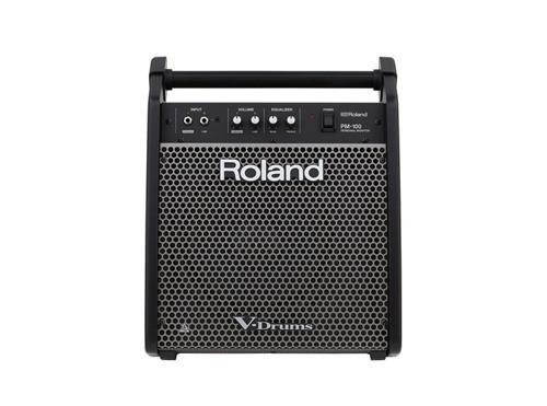 roland drum monitor pm100