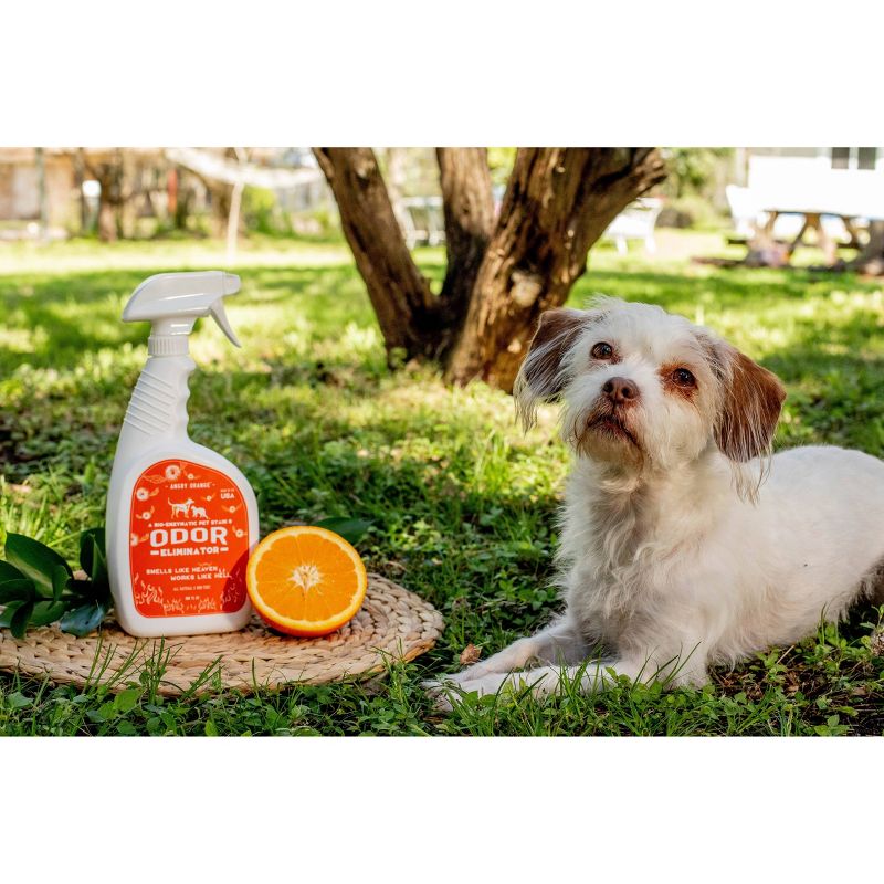 PawPail PawBag Pet Waste Plastic Poop Bags for Large Dogs (150 Count) with Odor Prevention Activated Carbon Air Filter for Pet Waste Station