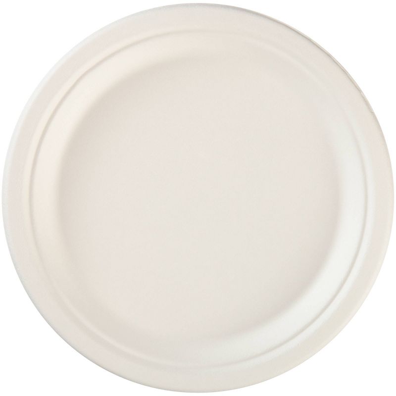 Hefty EcoSave Molded Fiber 8 3/4" Plates - 22ct
