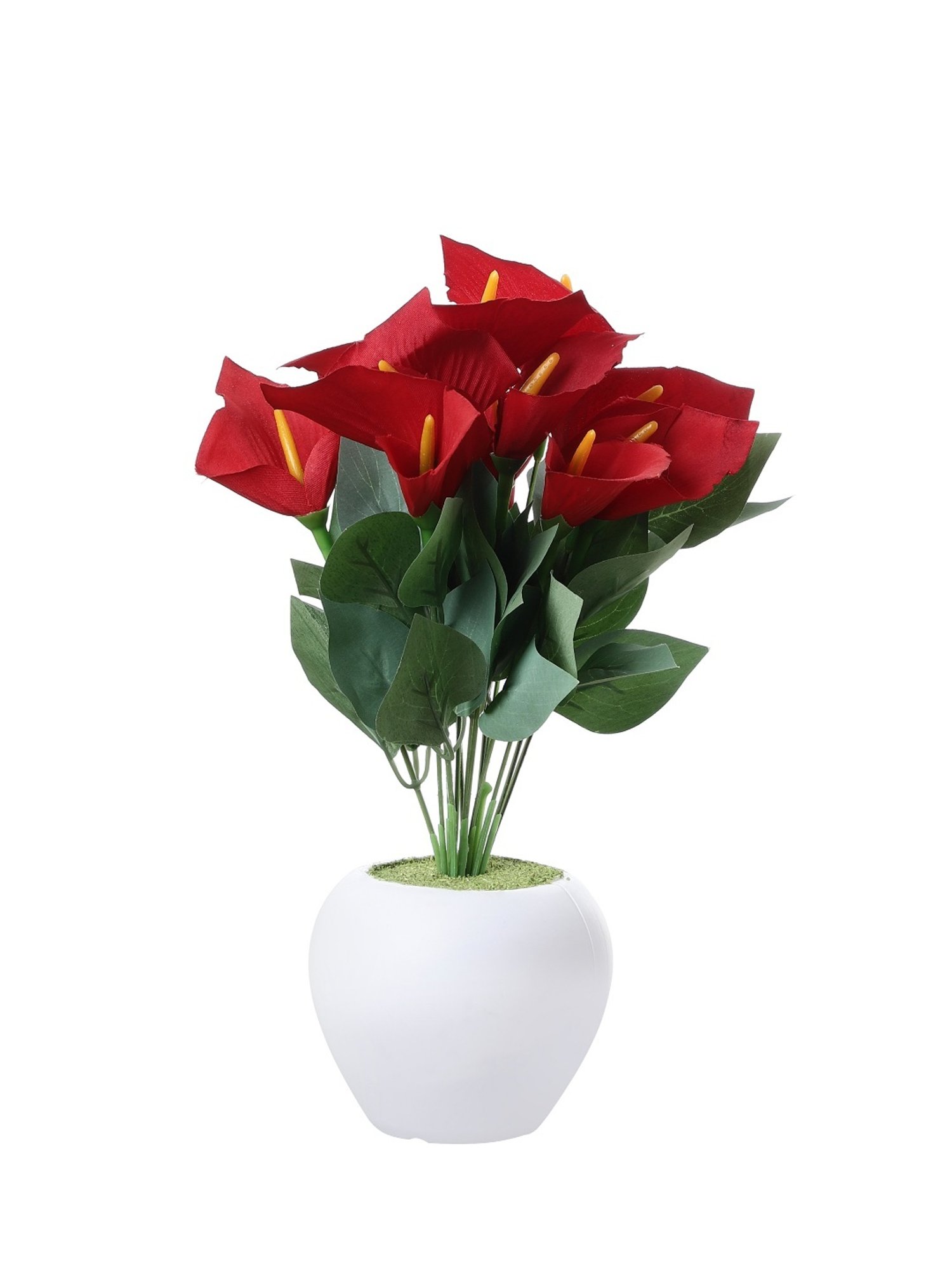 Foliyaj Multicolor Plastic Artificial Anthurium