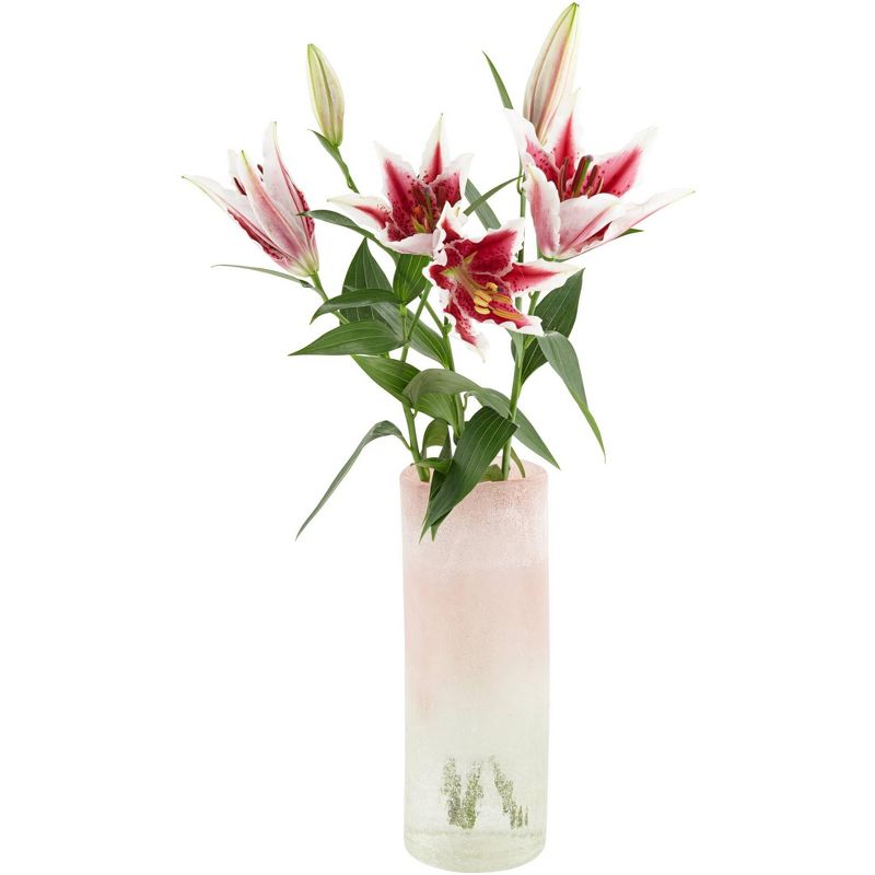 Studio 55D Pink and Clear 12" High Cylinder Glass Decorative Vase