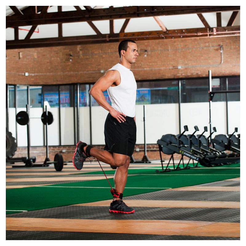 Stott Pilates Toning Ball 1lb - Purple