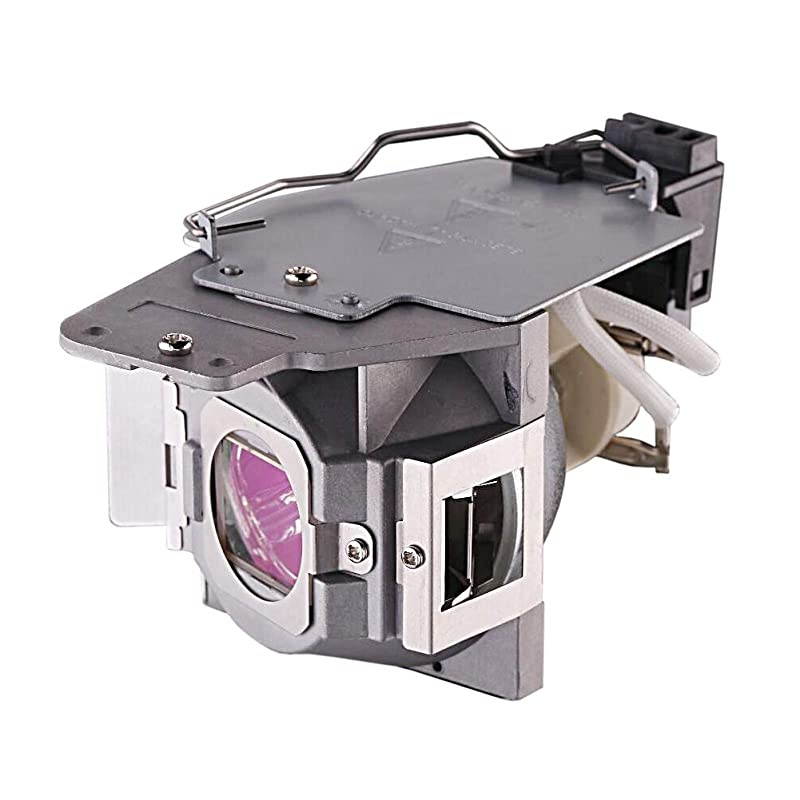 W1070 Lamp Bulb for Benq W1070 W1080st HT1075 HT1085st Projector Replacement Lamp Bulb with Housing