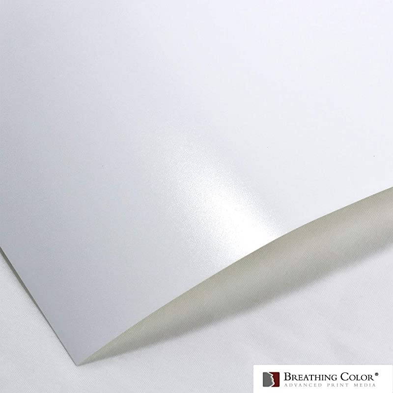 Luster Photo Printer Paper 10 mil 255 gsm Luster Finish Premium Photo Paper Roll on 3in Core 50 inches x 100 feet Works with Most Inkjet Printers Including Professional Makes and Models