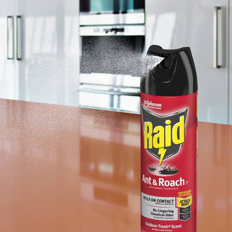 Raid Outdoor Fresh Ant & Roach Killer Spray 26 - 17.5oz/1ct
