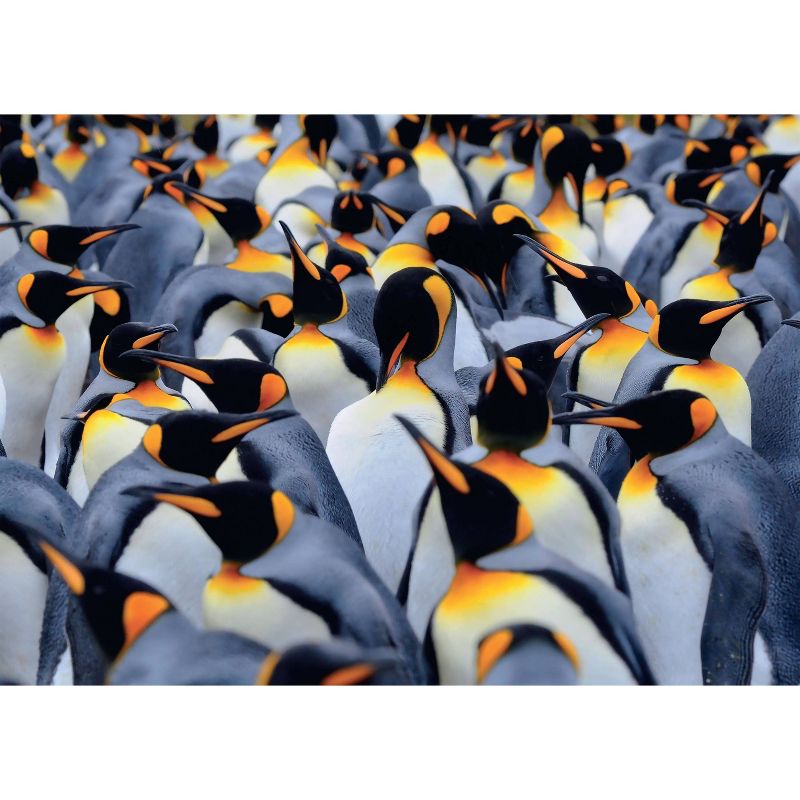 Ravensburger Penguin Parade Puzzle 1000pc