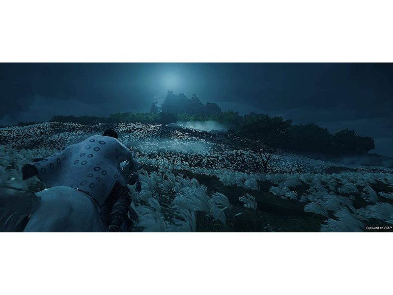 Ghost Of Tsushima Director's Cut - PlayStation 4